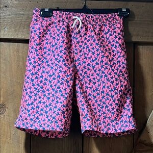 Lands' End Palm Tree Pink and Blue Swim Trunks